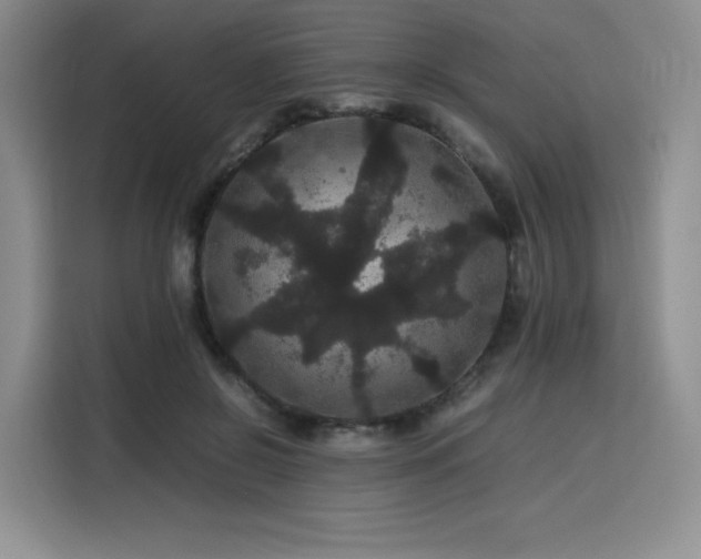 X0000116120550200911231217