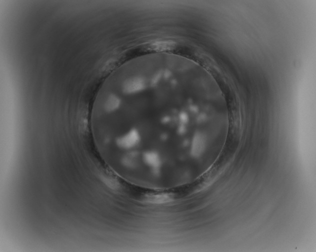 X0000116120553200911231217