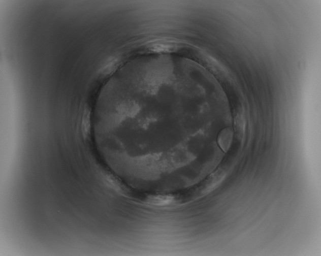 X0000116120554200911231217