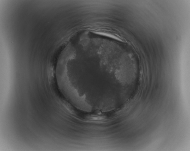 X0000116120555200911231217