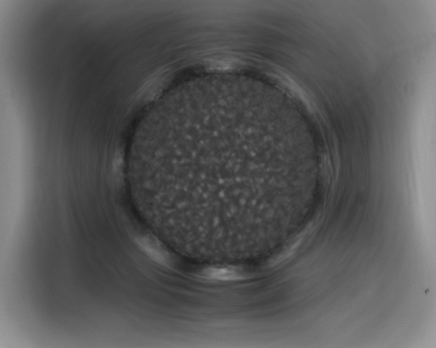 X0000116120557200911231217