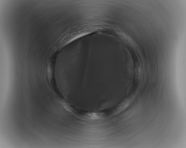 X0000116120558200911231217