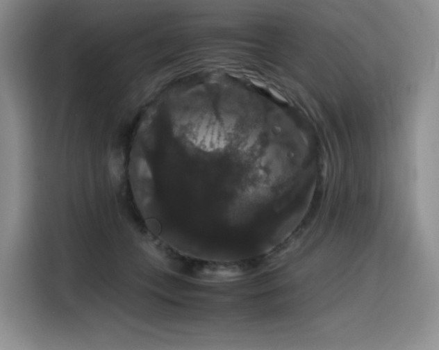 X0000116120559200911231217