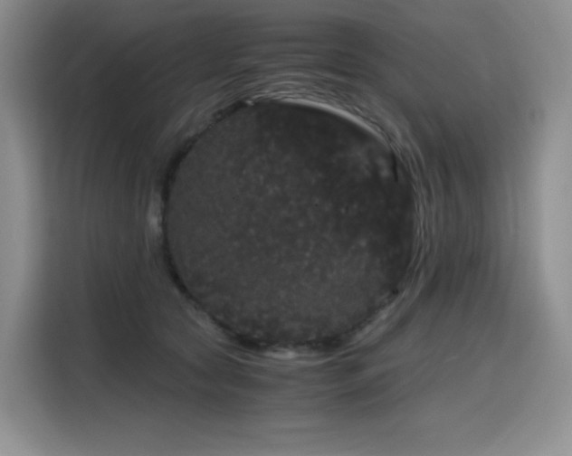 X0000116120561200911231217