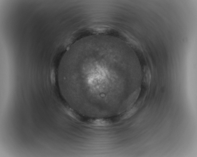 X0000116120562200911231217