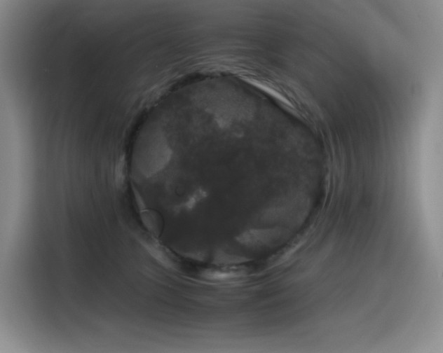 X0000116120563200911231217