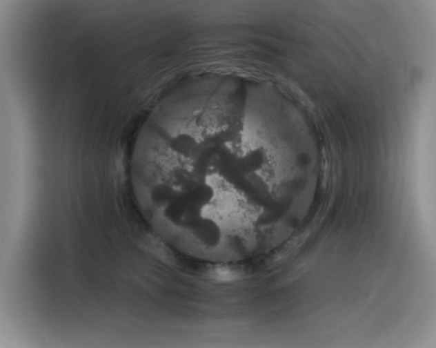 X0000116120565200911231217