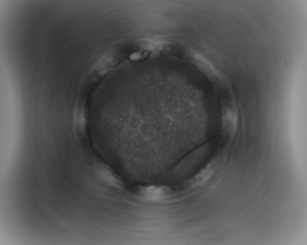 X0000116120566200911231217