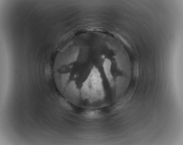 X0000116120569200911231217