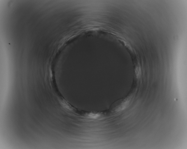 X0000116120570200911231217