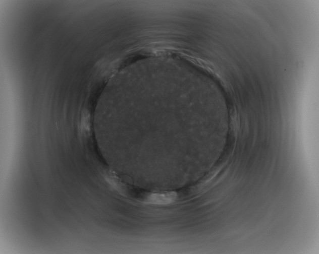 X0000116120571200911231217