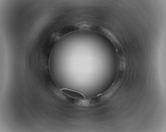 X0000116120573200911231217