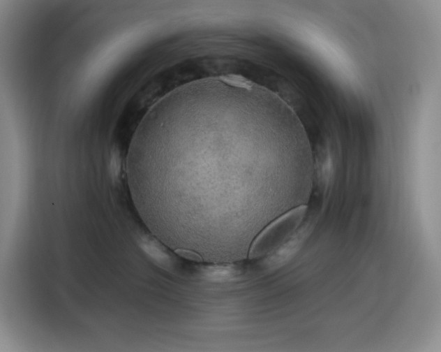 X0000116120574200911231217