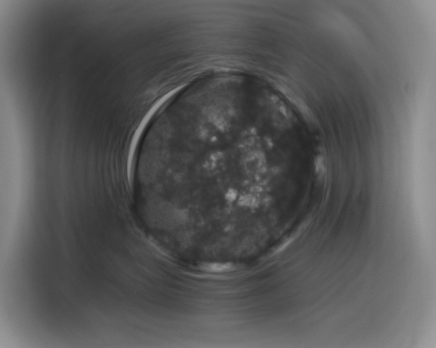 X0000116120575200911231217