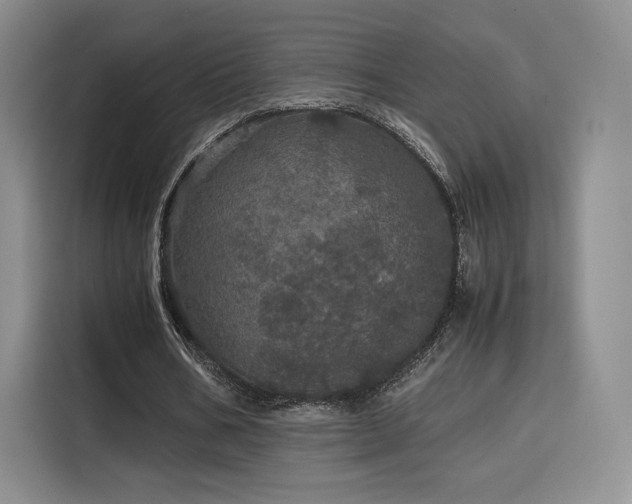 X0000116120578200911231217