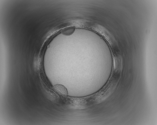 X0000116120579200911231217