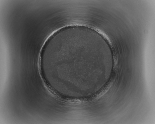 X0000116120580200911231217