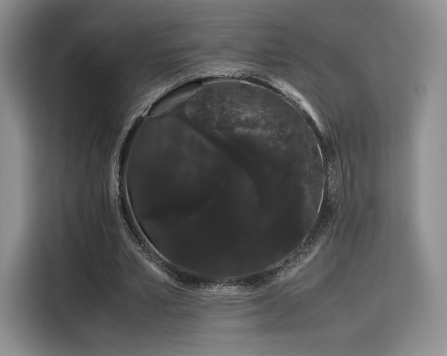 X0000116120581200911231217