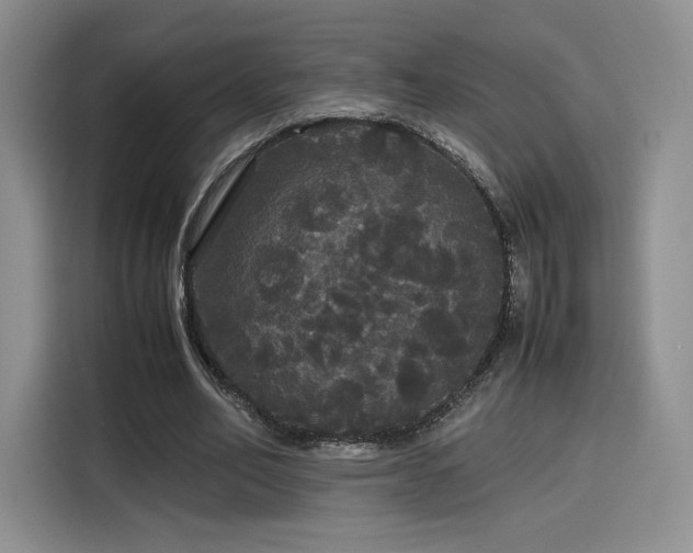 X0000116120582200911231217