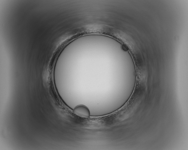 X0000116120583200911231217