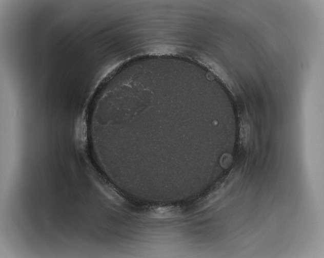 X0000116120584200911231217