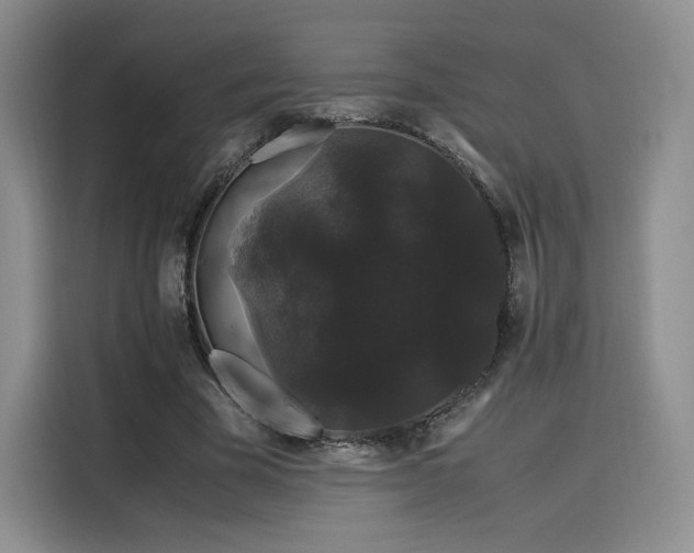 X0000116120585200911231217