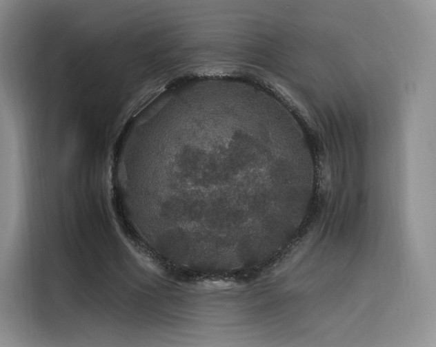 X0000116120586200911231217