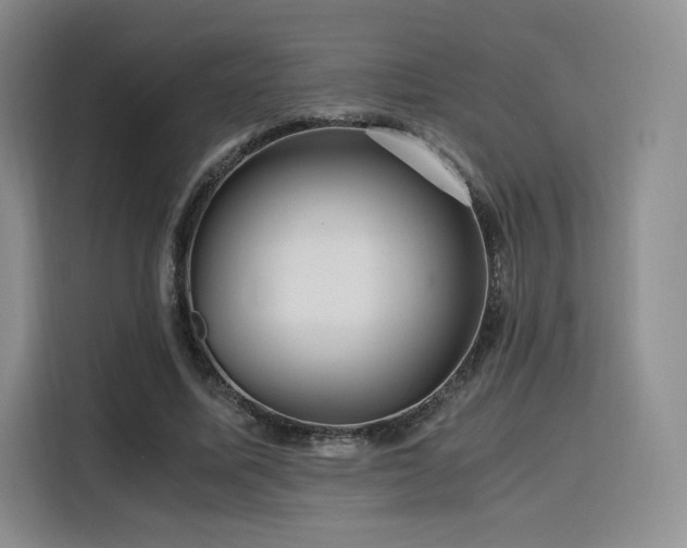 X0000116120587200911231217