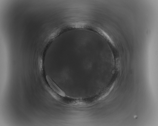 X0000116120589200911231217