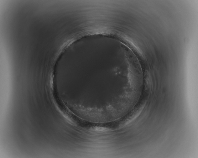 X0000116120590200911231217