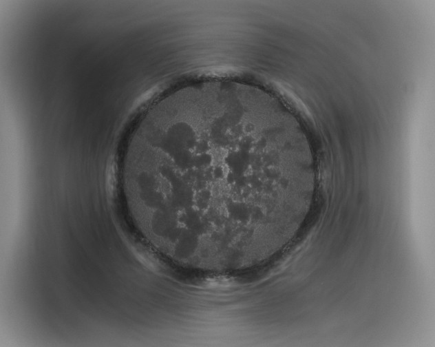 X0000116120591200911231217