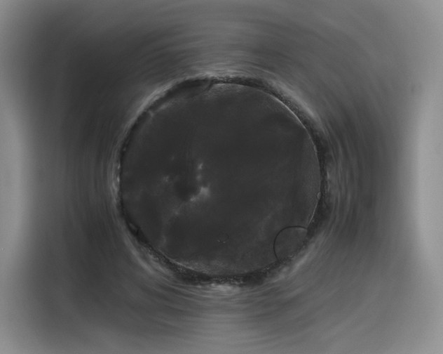 X0000116120592200911231217