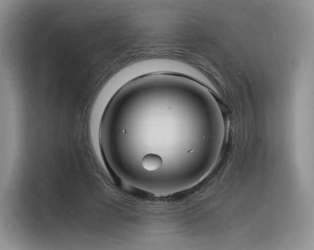 X0000116120593200911231217