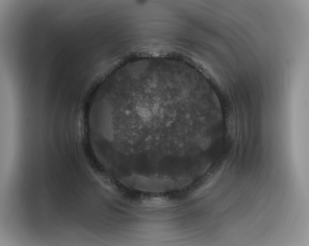 X0000116120594200911231217