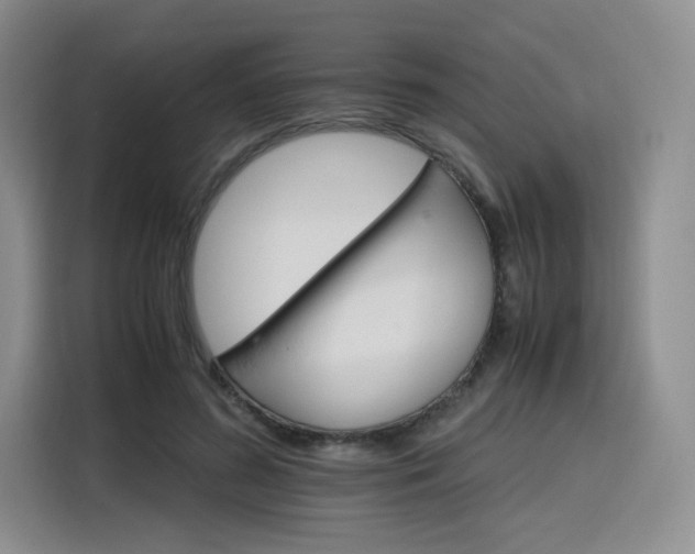 X0000116120596200911231217