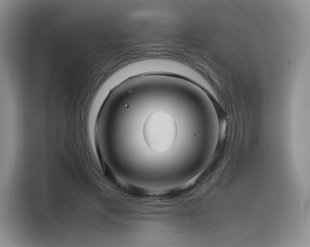 X0000116120597200911231217