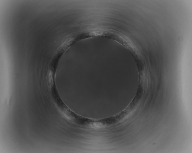 X0000116120598200911231217