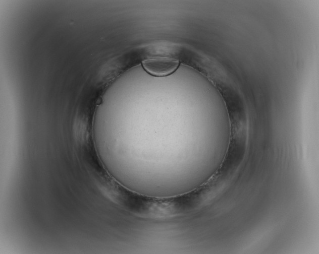 X0000116120599200911231217