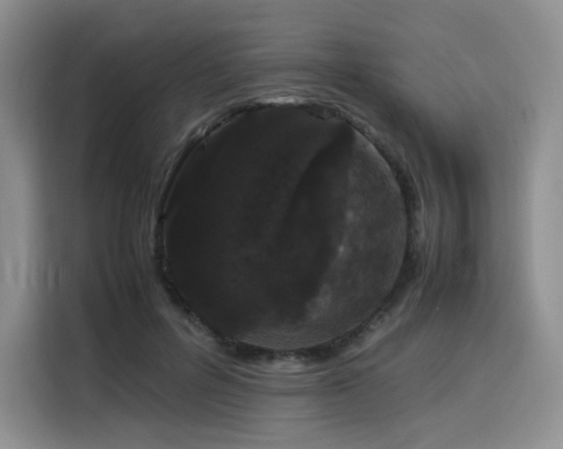 X0000116120600200911231217