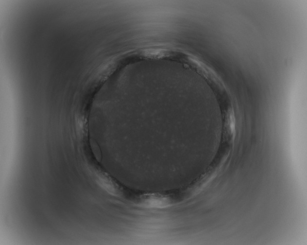 X0000116120601200911231217