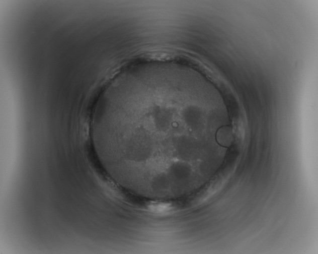 X0000116120602200911231216