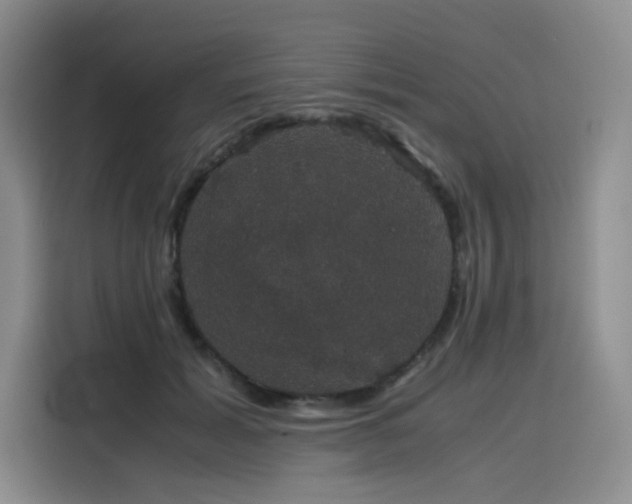 X0000116120605200911231216