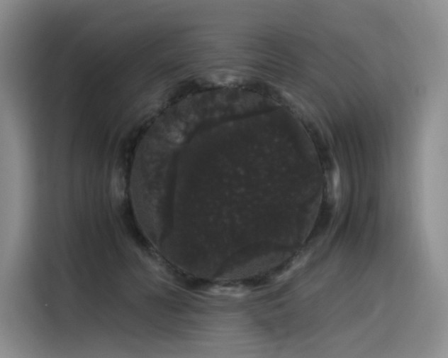 X0000116120606200911231216