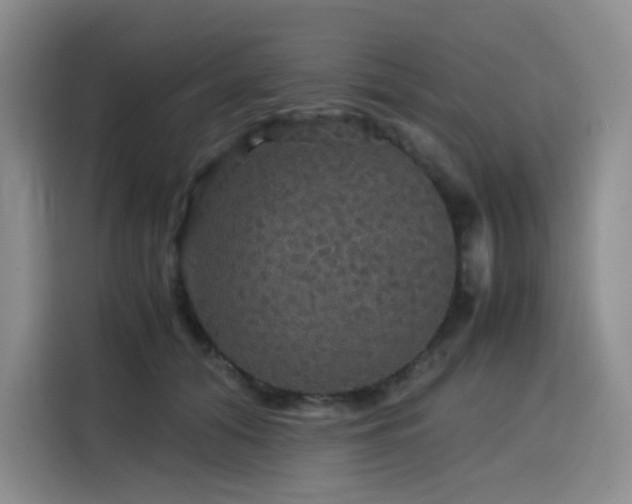 X0000116120608200911231216