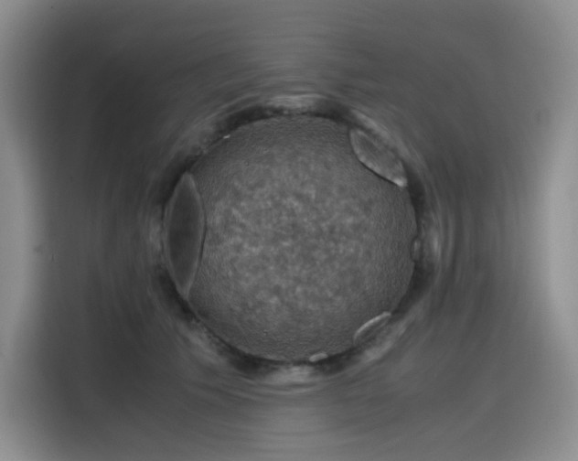 X0000116120609200911231216