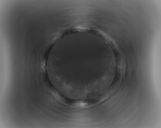 X0000116120610200911231216