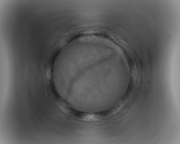 X0000116120611200911231216