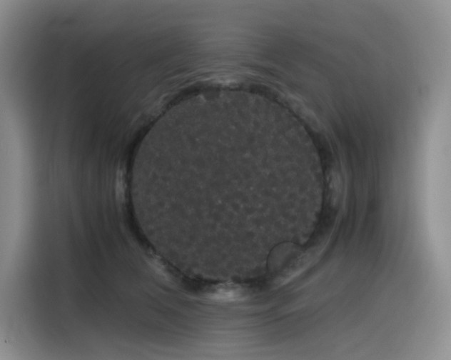 X0000116120612200911231216