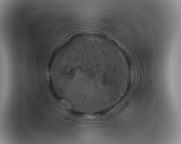 X0000116120613200911231216