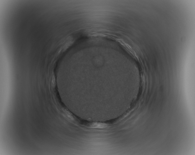 X0000116120617200911231216